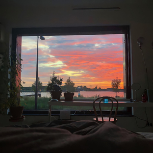 silklabo女性专区A片
