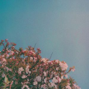 silklabo女性专区A片
